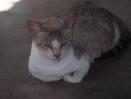 /album/galeria-de-fotos/cat3-jpg/