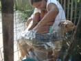 /album/galeria-de-fotos/canis7-jpg/