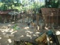 /album/galeria-de-fotos/canis11-jpg/
